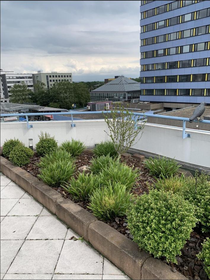 Im Herzen Von Wiesdorf- Blick Auf Das Bayer-Kreuz -Appartement Mit 2 Schlafzimmern-Fuer 3 Personen -Zentral Gelegen - Friedrich Ebert Platz 5A , 4Te Etage - Dachterrasse Und Sauna - Kaution Pflicht - Leverkusen Exterior photo